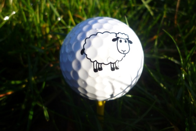 Golfbaan de Gelpenberg te Drenthe