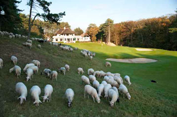 Golfbaan Wassenaar