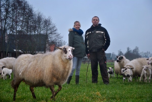 Nieuw begrazingsproject voor Martin Reitsma