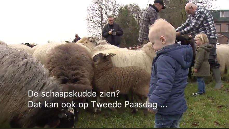 Doe en kijkdag in Almere